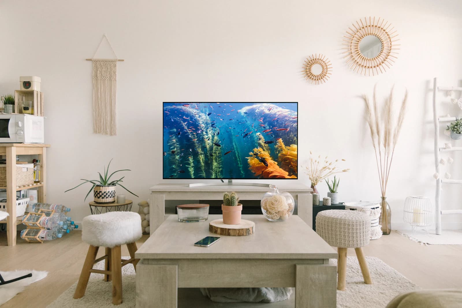 Flat-screen TV showing a colorful nature scene in a bright living room